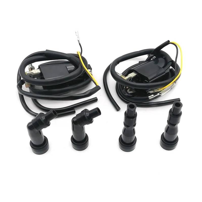Zündspulenmodul Zündungen 2Pcs Für CB650 750 900 SC GL1100 1200 Zündung Schalter Motorrad Leistung Teile Racing Zündspule System Einheit von FTJKKVV