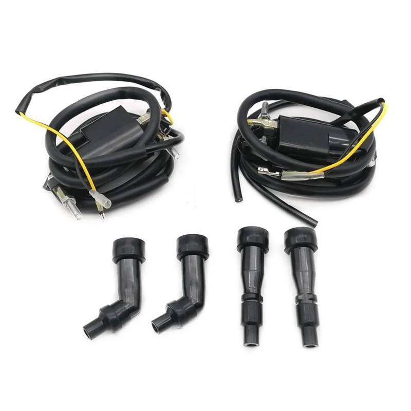 Zündspulenmodul Zündungen 2Pcs Für Suzuki Für GS Zündung Schalter Motorrad Leistung Teile Racing Zündspule System Einheit von FTJKKVV