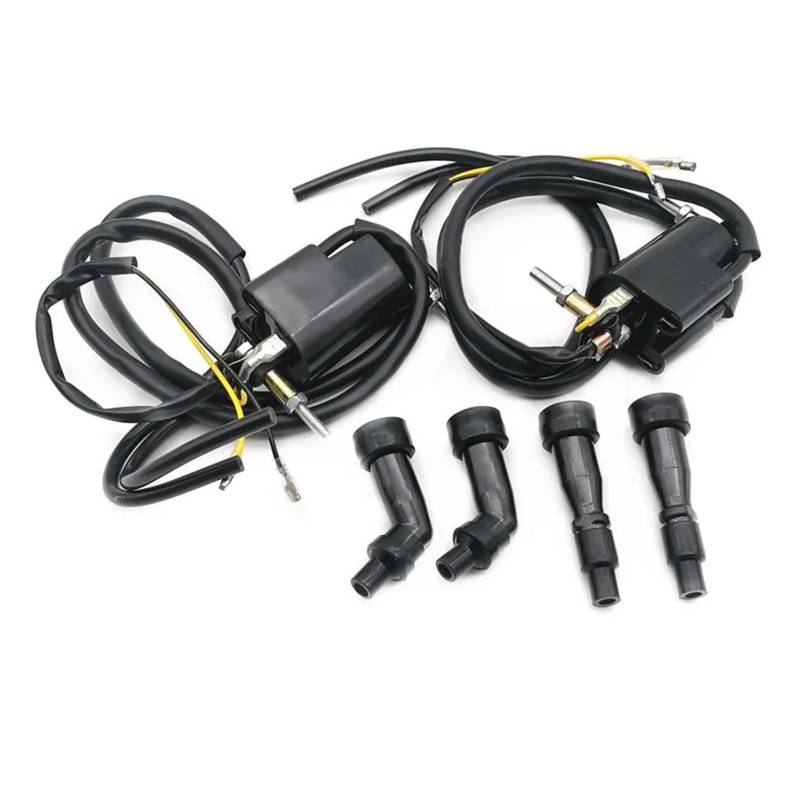 Zündspulenmodul Zündungen 2Pcs Motorrad Leistung Teile Racing Zündspule System Einheit Für Kawasaki Für KZ Zündung Schalter von FTJKKVV