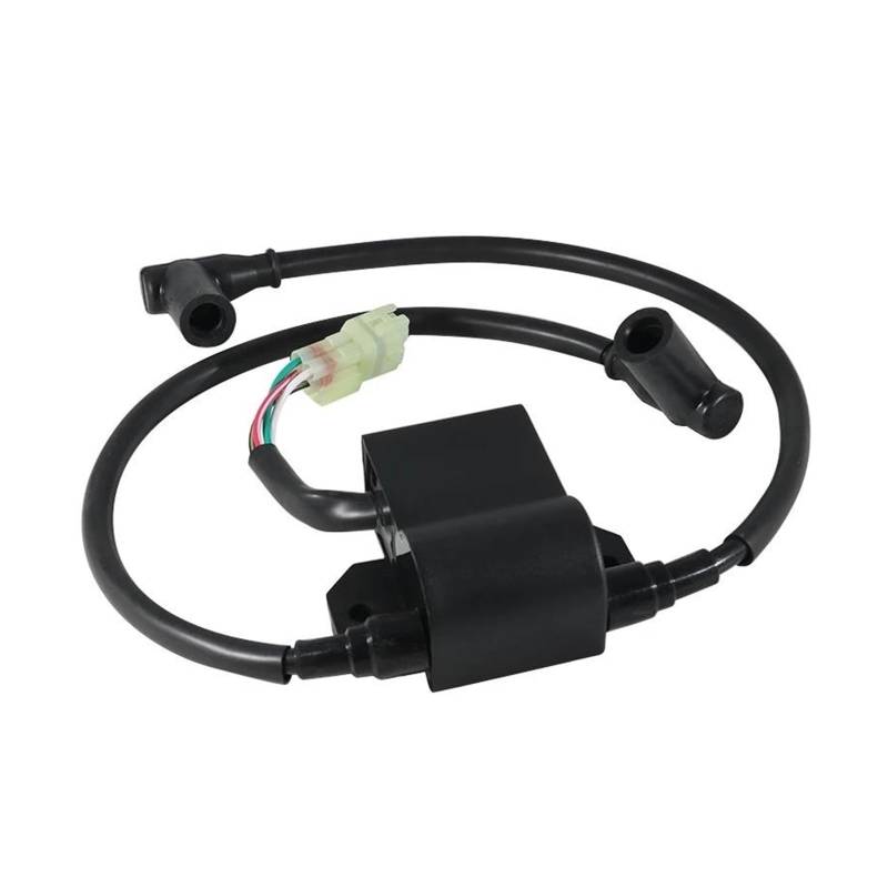 Zündspulenmodul Zündungen 420965757 Für Ski-DOO Für Formel S/SL Für Skandic 380/500/600 Touring Für SLE/E LT Motorrad Zubehör Starten Motor Zündspule von FTJKKVV