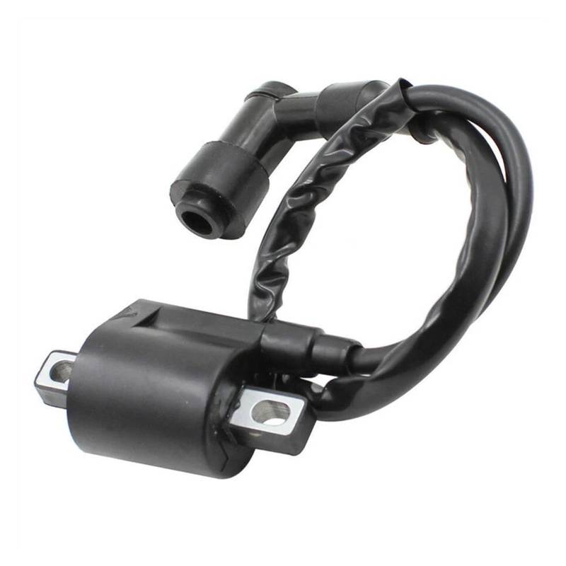 Zündspulenmodul Zündungen Für 50cc 70cc 110cc 125cc 150cc/200cc/250cc ATV Scooter Quad Dirt Bike Motorteile 12V Motor Zündspule Hochdruckspule von FTJKKVV