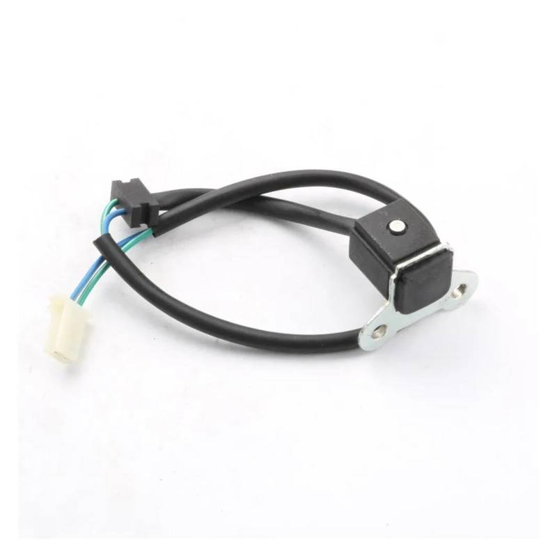 Zündspulenmodul Zündungen Für CF250 150 CH125 ATV Motorrad Stator Roller Moped Zündung Trigger Pick Up Trigger Sensor Spule Puls Spule von FTJKKVV