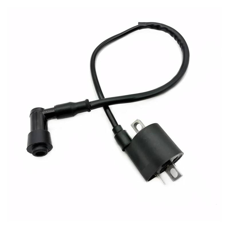 Zündspulenmodul Zündungen Für D8TC CG ZJ 50 60 80 100 125 150CC Für Kymco Roller Moped Pit Bike ATV Motorrad Leistung Teile Zündspule System Einheit(120) von FTJKKVV