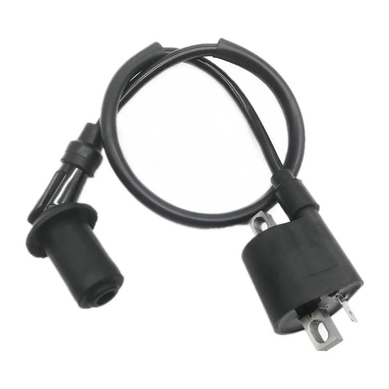 Zündspulenmodul Zündungen Für D8TC CG ZJ 50 60 80 100 125 150CC Für Kymco Roller Moped Pit Bike ATV Motorrad Leistung Teile Zündspule System Einheit(120) von FTJKKVV