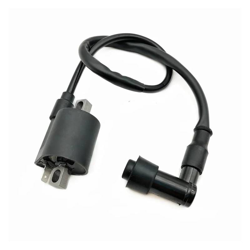 Zündspulenmodul Zündungen Für D8TC CG ZJ 50 60 80 100 125 150CC Für Kymco Roller Moped Pit Bike ATV Motorrad Leistung Teile Zündspule System Einheit(90) von FTJKKVV