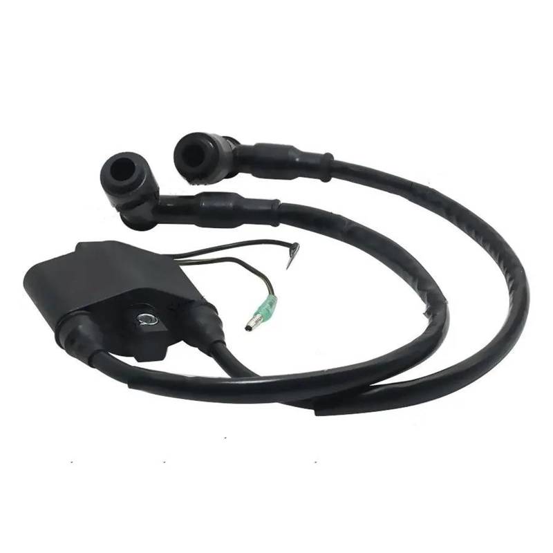 Zündspulenmodul Zündungen Für Tohatsu 9.9HP M9.9D M9.9D2 15HP M15D2 18HP M18E2 8M0121784 8M0047313 803706A1 Außenbord Zündspule von FTJKKVV