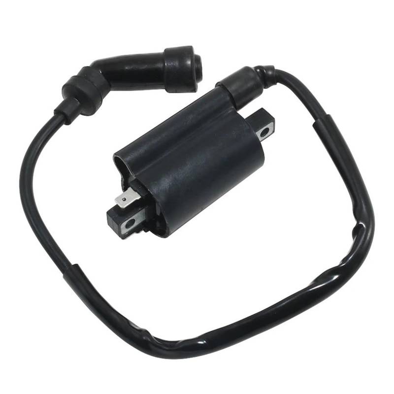 Zündspulenmodul Zündungen Für XV125 XV125S XV240 XV250 SRV250 SRV250S TRX850 von FTJKKVV