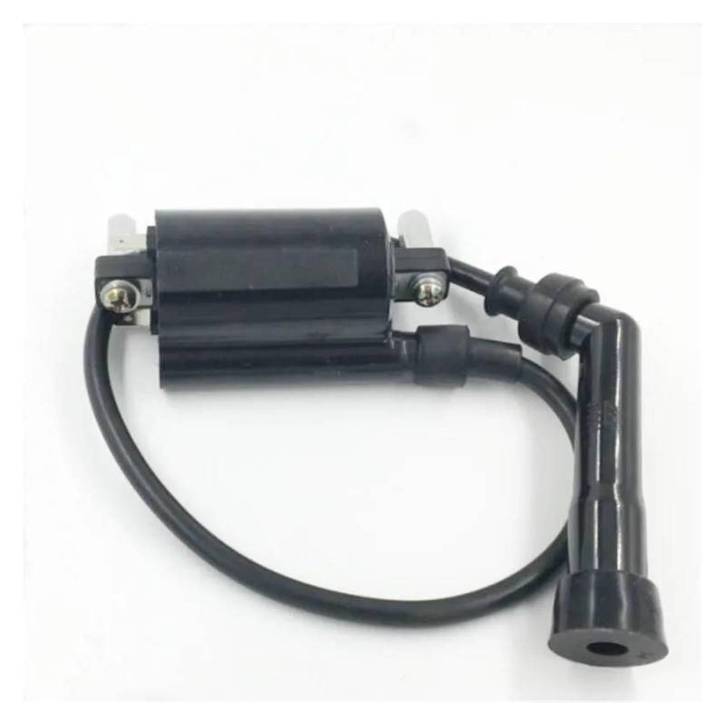 Zündspulenmodul Zündungen Motorrad Teile Für Wangjiang GN250 Für GN 250 Zündspule Mit Draht & Stecker Kappe von FTJKKVV