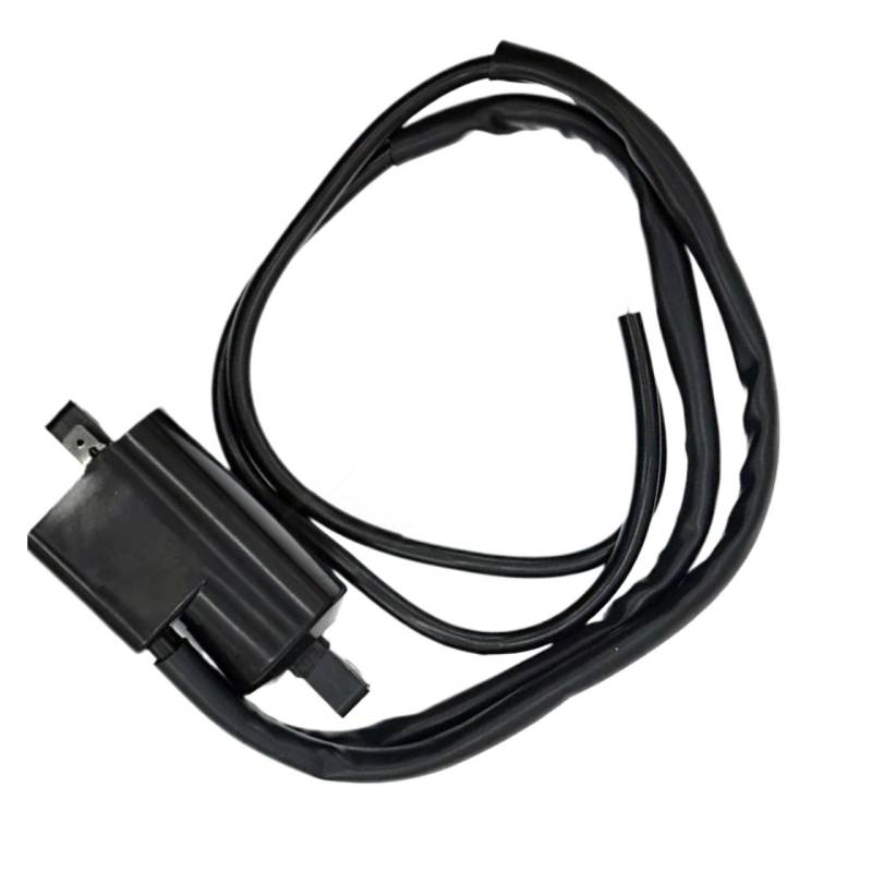 Zündspulenmodul Zündungen Motorrad-Zündspule 12 V CDI-Spulen Für Suzuki RG500 Für Gamma 1986 1987 RG 500(1 Stück) von FTJKKVV