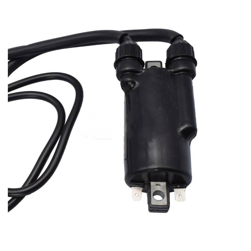 Zündspulenmodul Zündungen Motorrad Zündspule Für VTX 1300 S 2003-07 VT 750 Für Shadow Für Aero Für AERO ABS Für Deluxe Für Phantom Für Spirit 12V Externe CDI von FTJKKVV