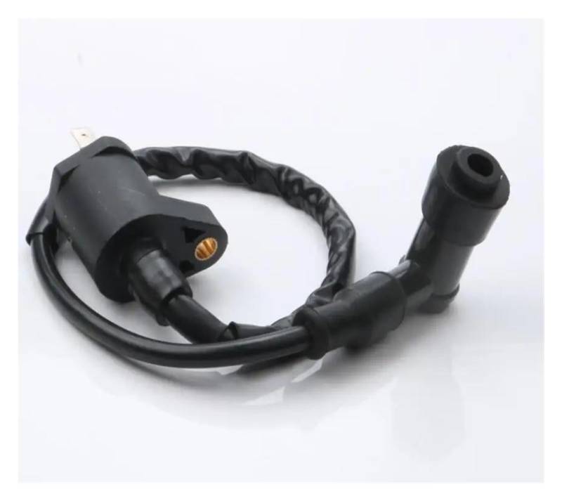 Zündspulenmodul Zündungen Roller Standard Leistung Zündspule Für Vespa Et4 Für Gtv 125 Für Granturismo Eu3 Gts Eu3 125cc 829337 246010082 Zubehör(Standard) von FTJKKVV
