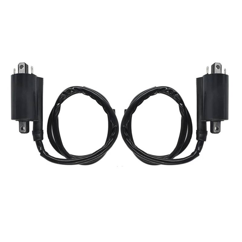 Zündspulenmodul Zündungen Vorne Und Hinten Zündspule Für Suzuki VS1400 Für Intruder 1400 1987-1993 1994 1995 1996 1997 1998 1999 2000 2001 2002 2003 2004 DE von FTJKKVV