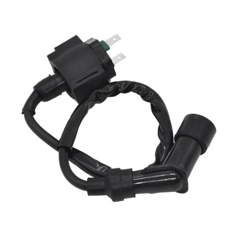 Zündspulenmodul Zündungen Zündspule Für 350 TRX350FE TRX350FM 4X4 2000 2001 2002 2003 2004 2005 2006 Motorrad Teile von FTJKKVV