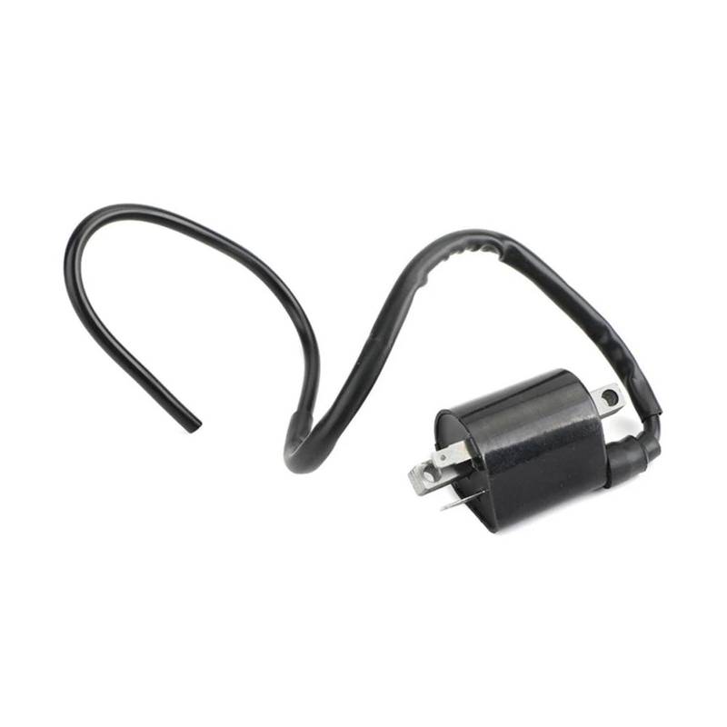 Zündspulenmodul Zündungen Zündspule Für XV535 Für Virago 535 1987-1988/1990-1994 1995 1996 1997 1998 1999 2000 2GV-82310-21001 2GV-8232-2000 von FTJKKVV