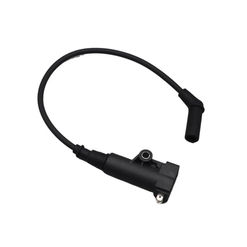 Zündspulenmodul Zündungen Zündspule Zündgerät Für QJIANG Für Keeway Für Benelli Für Silverblade Silver Blade 250cc Roller BJ250T-8 Zubehör von FTJKKVV