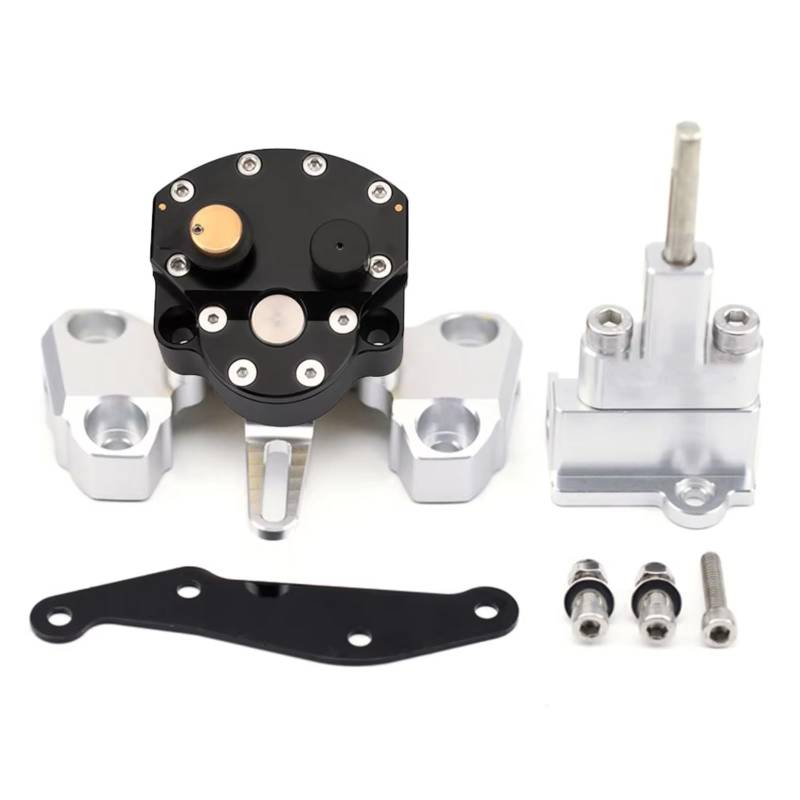 FVGOKMNA Kompatibel Mit Yamaha Für MT-09 Für Street Für Rally 2014 2015 2016 Einstellbarer Radial-Lenkungsdämpfer-Stabilisator-Montagehalterungssatz Für Motorräder Lenkungsdämpfer Stabilisator(Black) von FVGOKMNA