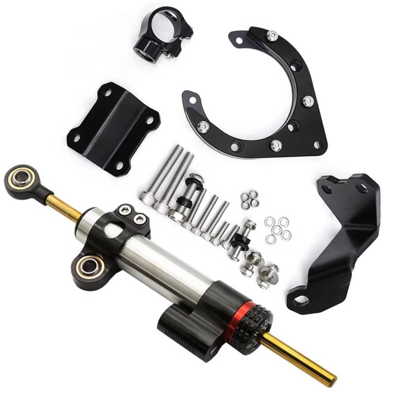 FVGOKMNA Kompatibel Mit Yamaha Für MT07 Für FZ07 2020–2023 CNC-Motorrad-Stabilisierungsdämpferhalterung, Montagesatz, Carbon-Lenkmotorraddämpfer Lenkungsdämpfer Stabilisator(Silver Set) von FVGOKMNA