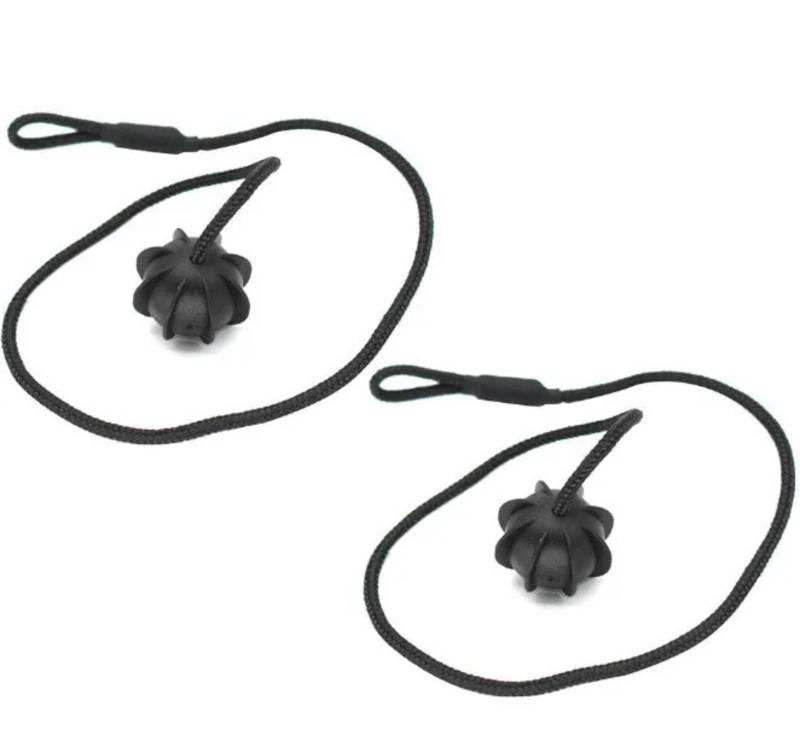 Kofferraum Halteband Kompatibel Mit Skoda Für Fabia Mk1 1999 2000 2001 2002 2003 2004 2005 2006 2007. Hutablage-Schnur, Hintere Hutablage-Gurtschnur, Schnur 6v6863634(2pcs) von FVGOKMNA
