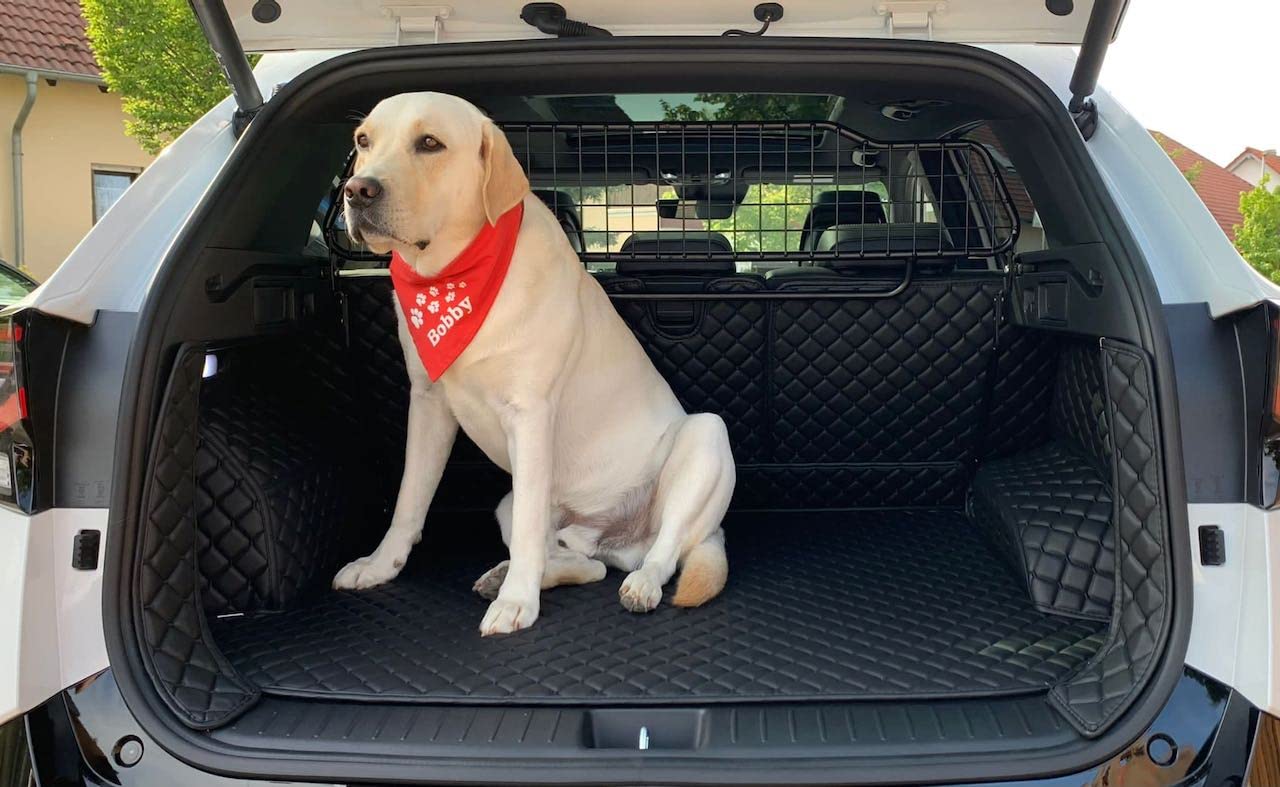 CARSTYLER Kofferraumschutz Hundeschutzmatte Geeignet Für Ford Exploer 6. Generation 2019-heute von FZZ Parts