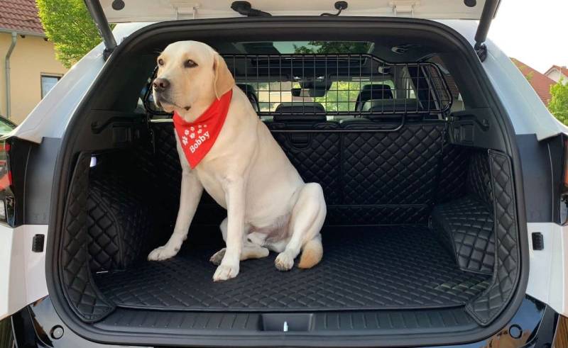 CARSTYLER Kofferraumschutz Hundeschutzmatte Geeignet Für Hyundai Santa Fe 4. Generation 2018-heute von FZZ Parts