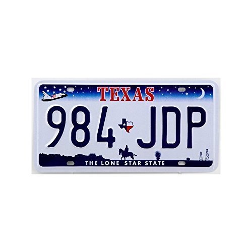 American USA License Plate Texas The Lone Star State by Fabbri von Fabbri