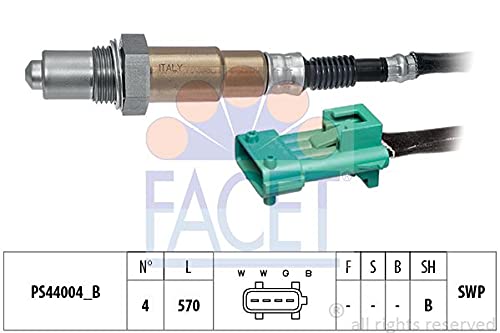 FACET 10.8220 Einspritzanlage von Facet