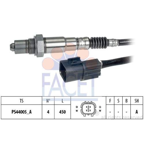 FACET 10.8256 Einspritzanlage von Facet