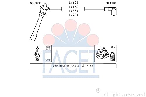 Facet 4.9505 Zndleitungssatz von Facet