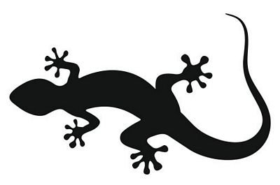 FahnenMax Autoaufkleber Sticker Lizard Eidechse schwarz Aufkleber von FahnenMax