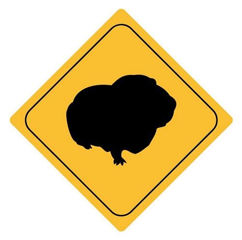 FahnenMax Autoaufkleber Sticker Achtung Meerschweinchen Aufkleber von FahnenMax