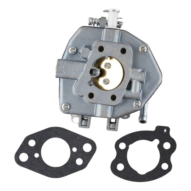 Fauhapyway 846109 Vergaser mit Dichtungen für Vanguard-Motor, 16 PS, 17 PS, 18 PS, zuverlässig, kompatibel mit 350447, 356447 Modellen von Fauhapyway