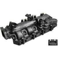 Saugrohrmodul FEBI BILSTEIN 176767 Saugrohrmodul FEBI BILSTEIN 176767 von Febi