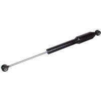 Lenkungsdämpfer FEBI BILSTEIN 100867 Lenkungsdämpfer FEBI BILSTEIN 100867 von Febi