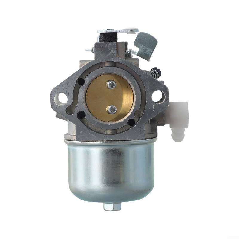 Feeshoppher Metall Vergaser Zubehör Rasenmäher Motor Vergaser Zubehör Kompatibel mit 494883 495778 497581 495782 Modelle Rasenmäher Motorteile von Feeshoppher