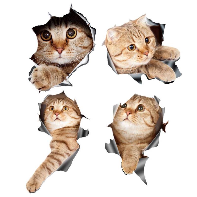 Fegtrtyoa (4 Stück 3D Katze Auto Aufkleber Aufkleber/Aufkleber für, Auto, Laptop oder von Fegtrtyoa
