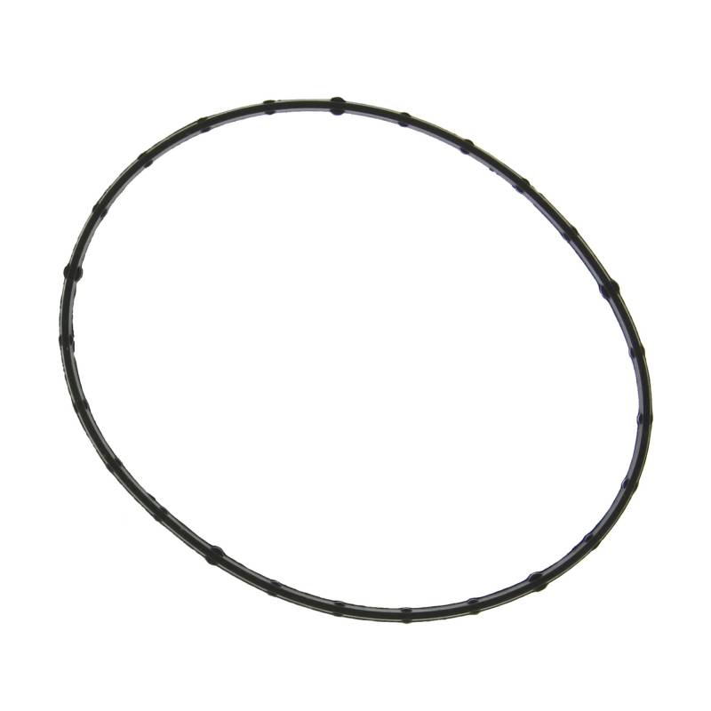 Fel-Pro 61698 Drosselklappenkörper Montagedichtung von Fel-Pro