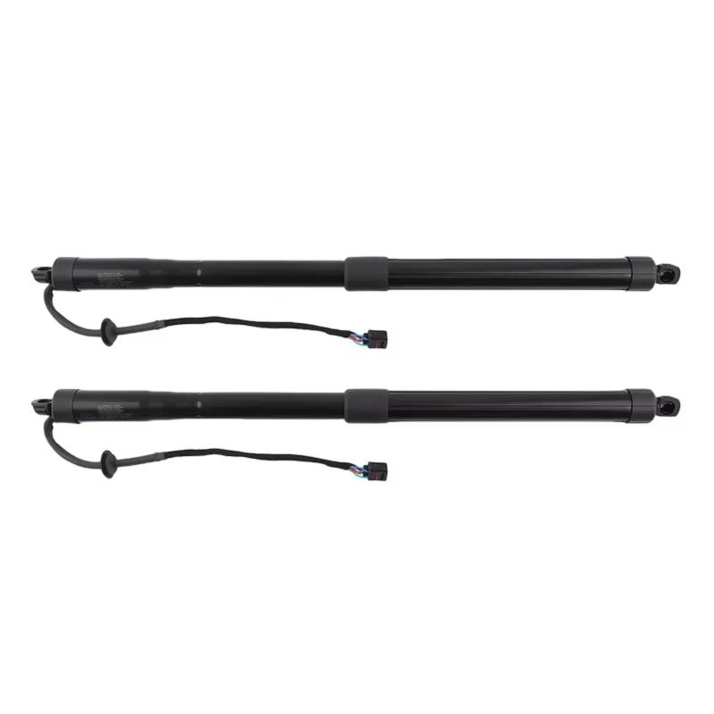 Kofferraum-Gasfeder Für Hyundai Für Santa Für Fe 2013-2019 81771B8100 81781B8100 Hinten Links Rechts Heckklappe Power Hatch Lift Unterstützung Gasfeder Dämpfer Heckklappe von Feoosvx