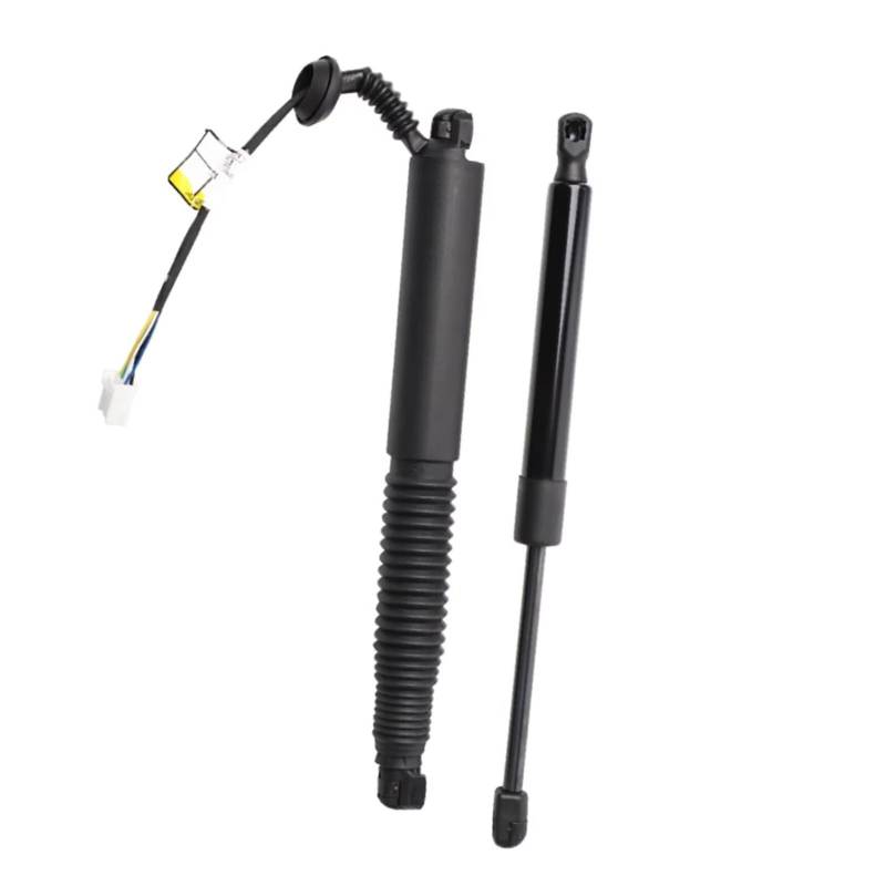 Kofferraum-Gasfeder Für Modell 3 1551488-00-C 1551488-98-B 1551489-00-B 2021-2023 2 X Hinten Links Rechts Elektrische Heckklappe Stamm Strut 1551488-99-B Gasfeder Dämpfer Heckklappe von Feoosvx