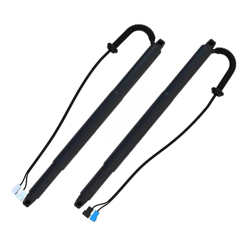 Kofferraum-Gasfeder Für X6 F16 2015-2019 Power Hatch Lift Unterstützung Opener Schock 51247318651 51247318652 Elektrische Heckklappe Streben Gasfeder Dämpfer Heckklappe(Links und rechts) von Feoosvx