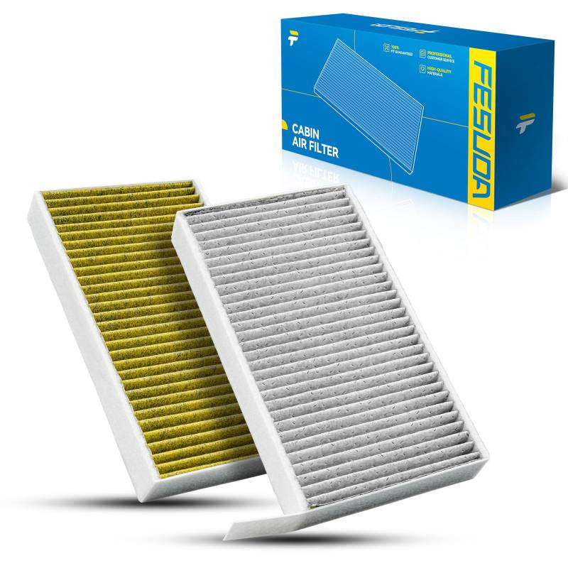 Fesuda FP25015 pm2.5 Innenraumfilter, 2PCS Pollenfilter für TESLA MODEL 3 (5YJ3) EV (1997-2008) von Fesuda