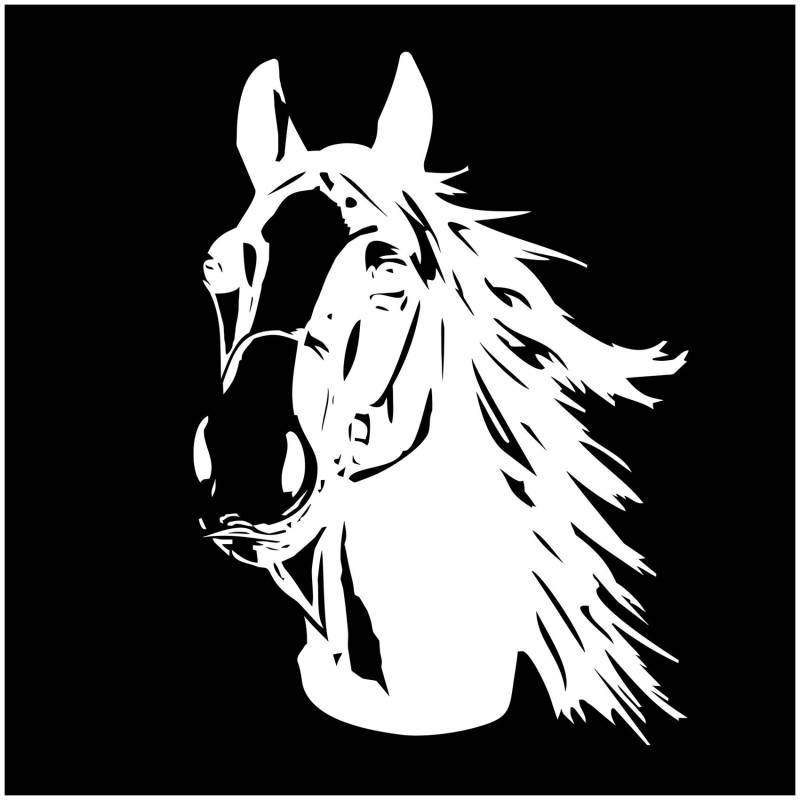 Finest Folia Aufkleber Pferd Pferdekopf Sticker für Auto Anhänger LKW Pferde Autoaufkleber Dekor Pferdemotiv Tiermotiv KX047 (Weiß Glanz, 70x50 cm) von Finest Folia