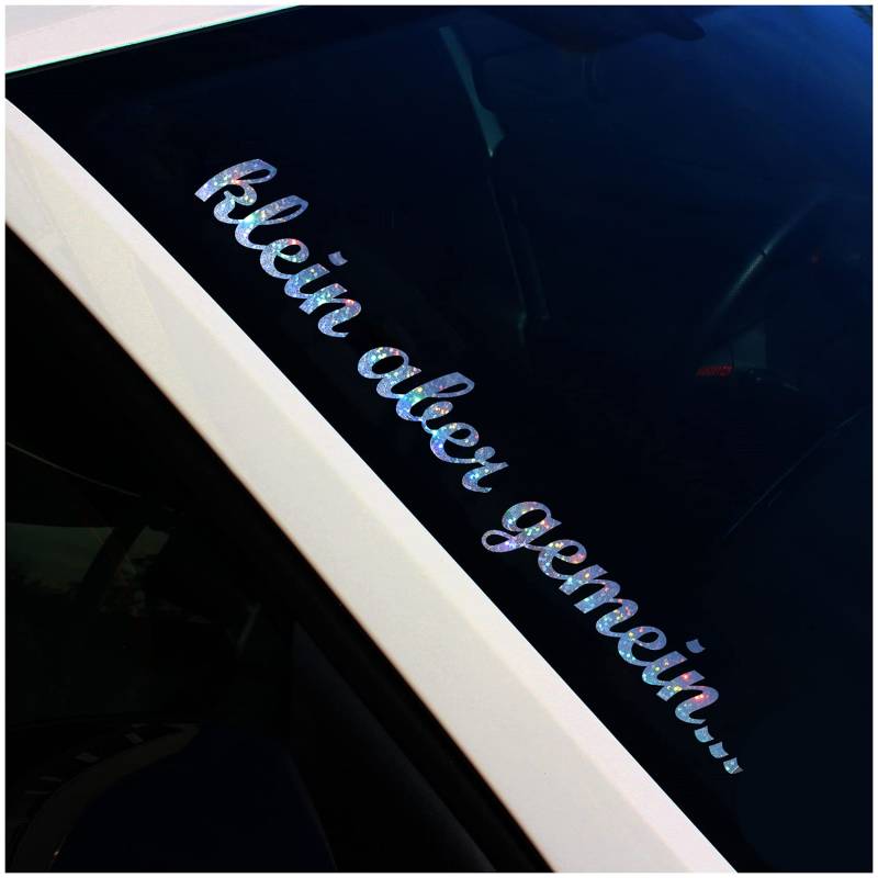 Frontscheibenaufkleber Schriftzug klein aber gemein Aufkleber für Windschutzscheibe Heckscheibe Auto Fahrzeug Dekor Sticker Frontscheibe FS101 (Flakes Silber, Außenklebend) von Finest Folia