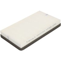 Innenraumfilter FLEETGUARD AF55858 Innenraumfilter FLEETGUARD AF55858 von Fleetguard