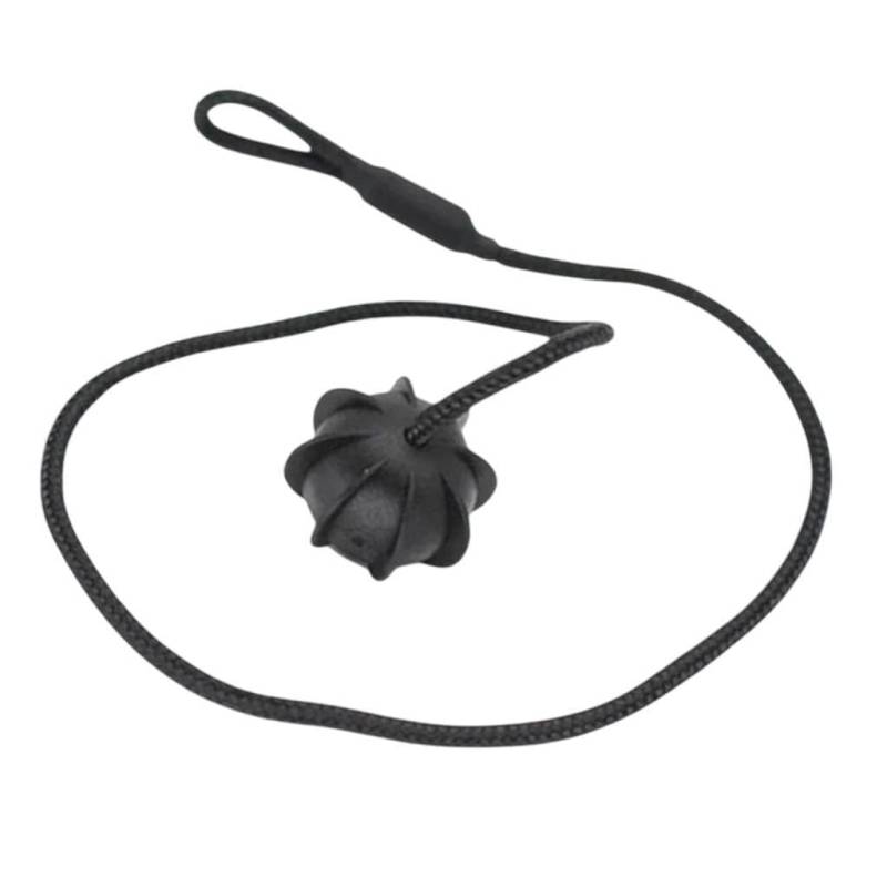 Folpus 2PCS Kofferraum Paket Regal Haltestand 1K6863447A Autozubehör für von Folpus