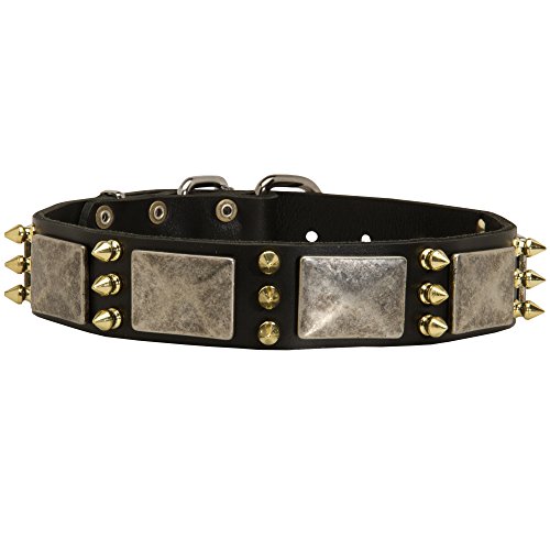 Gorgeous Krieg Hunde Leder Hundehalsband mit Old Nickel Massive Teller und 3 Messing Spikes – "Haute Couture – 1 1/5,1 cm (40 mm) breit von ForDogTrainers