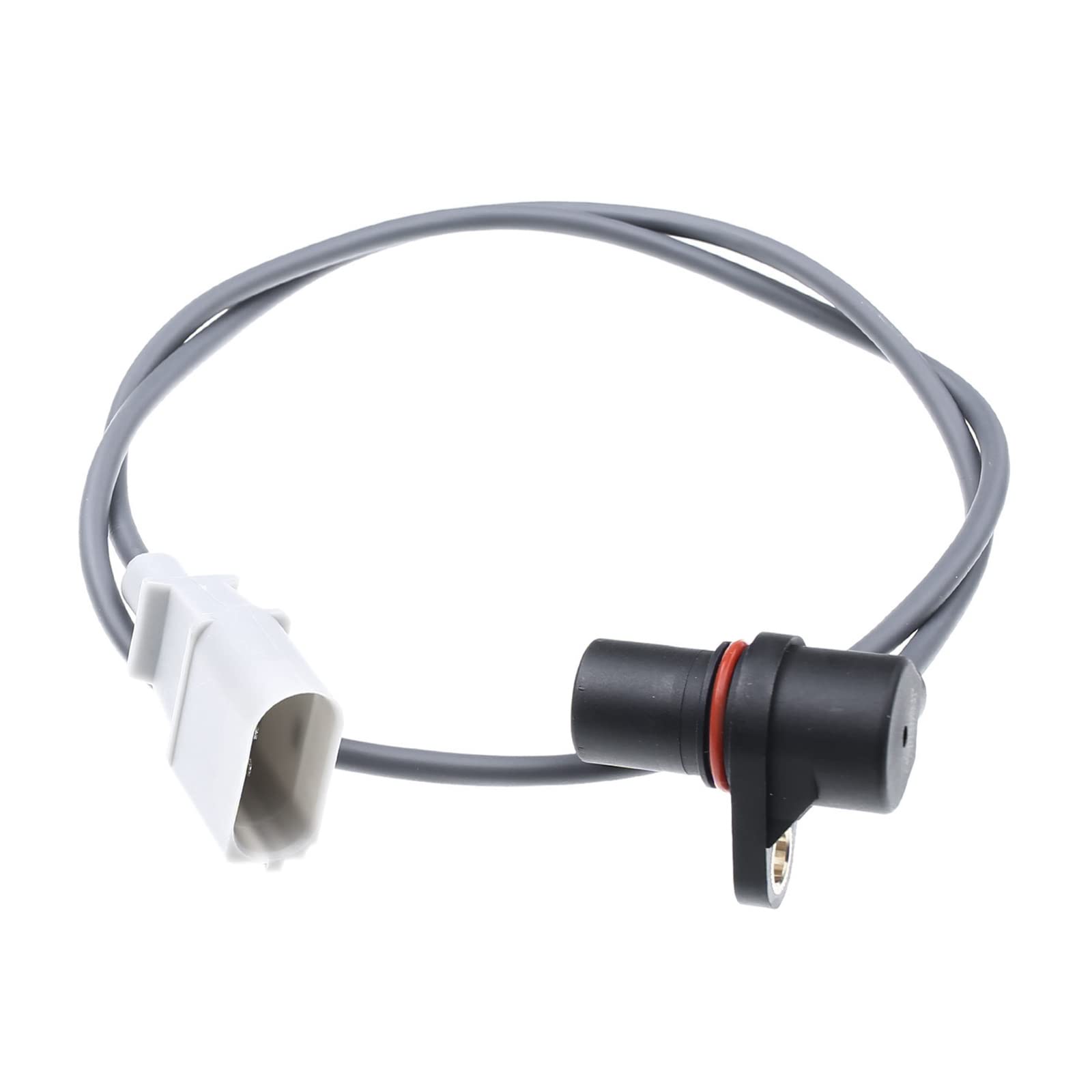 Frankberg Impulsgeber Kurbelwellensensor für A4 A6 A8 Allroad Toledo II B-o-r-a Golf IV P-a-s-s-a-t 1996-2008 078906433A Frankberg Impulsgeber Kurbelwellensensor für A4 A6 A8 Allroad Toledo II B-o-r-a Golf IV P-a-s-s-a-t 1996-2008 078906433A von Frankberg