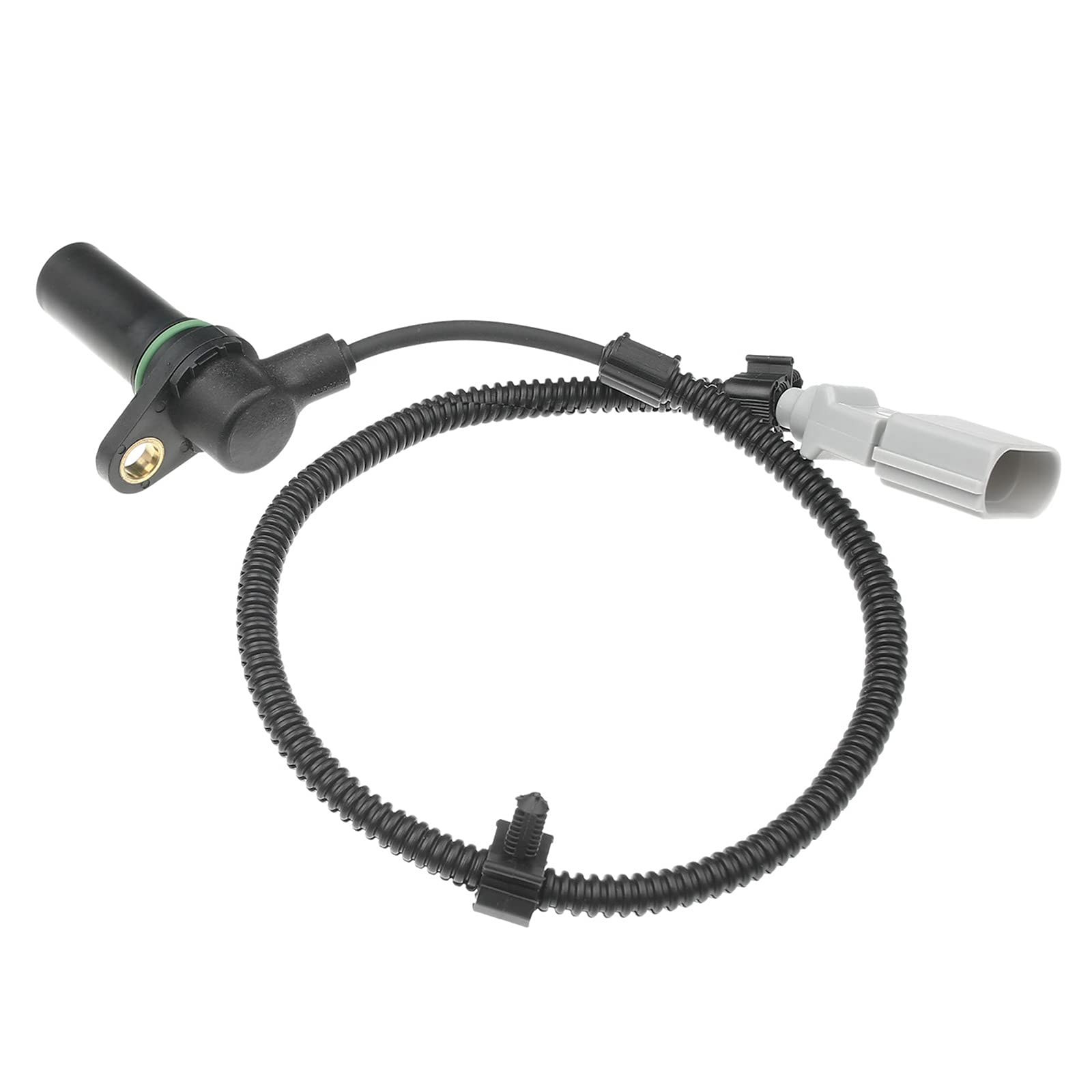 Impulsgeber Kurbelwelle Kurbelwellensensor für A3 Galaxy Alhambra Ibiza Leon Toledo Fabia Octavia Bora Golf IV M-u-l-t-i-v-a-n V New Beetle S-h-a-r-a-n Transporter V 1.9L Diesel 1995-2010 038907319D Impulsgeber Kurbelwelle Kurbelwellensensor für A3 Galaxy Alhambra Ibiza Leon Toledo Fabia Octavia Bora Golf IV M-u-l-t-i-v-a-n V New Beetle S-h-a-r-a-n Transporter V 1.9L Diesel 1995-2010 038907319D von Frankberg