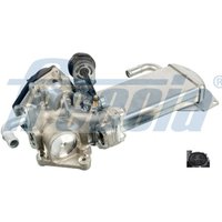 AGR Ventil FRECCIA EGR12-179 von Freccia