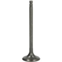 Auslassventil FRECCIA R6981/RARNT von Freccia