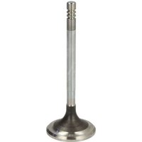 Einlaßventil FRECCIA R6889/SNT von Freccia